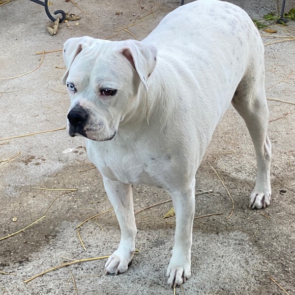 Meet your Posher, Telesa - Picture 2 of 7